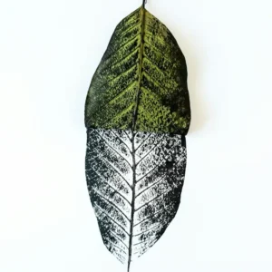 CO2 Laser Engraving Machine leaf carving laser engraver 6040z
