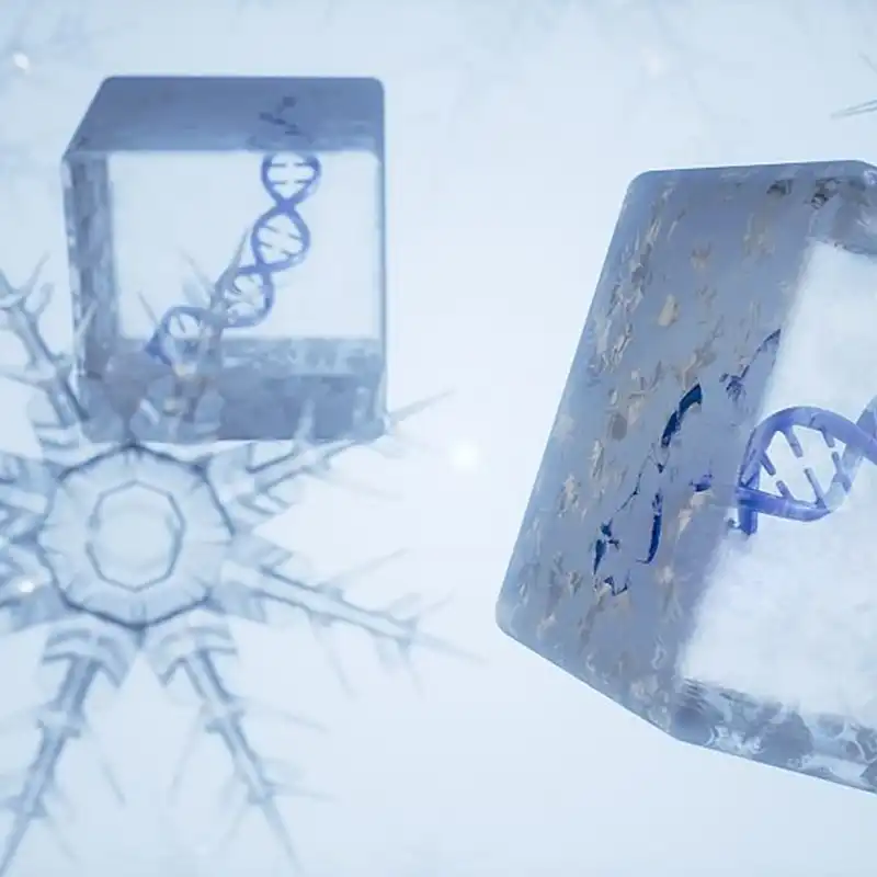 Solar cell mini-modules subjected to sub-zero humidity-freeze cycling